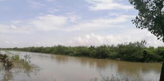 Risc de inundații pe unele cursuri de apă din Vrancea / Podul de la Vadu Roșca, din nou impracticabil