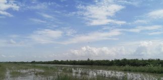 Pericol de inundații pe cursurile mici de apă