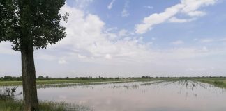 Atenționare de inundații pe câteva cursuri mici de apă din Vrancea