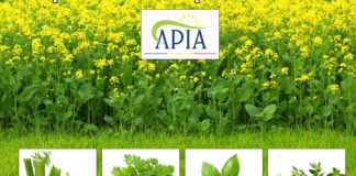 APIA: bani pentru producătorii de plante aromatice