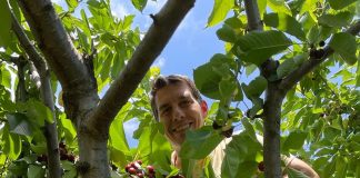 FOTO Prințul Nicolae, la cireșe, la Cotești