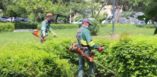 DDSP Focșani face angajări: la spații verzi, pepiniera Mândrești și cimitire