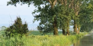 ULTIMA ORĂ Și drumul dintre Suraia și Boțârlău este închis circulației