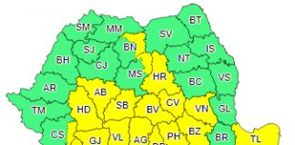 Cod galben de vijelii până diseară