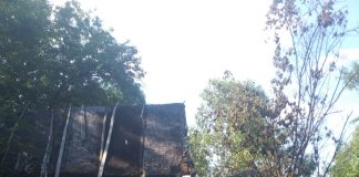 Femeie găsită carbonizată într-o casă din Năruja