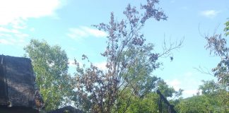 Incendiu la o casă nelocuită din Focșani