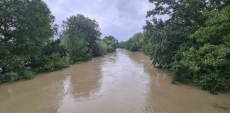 VIDEO Nivelul râului Putna, mai mare decât la inundațiile din 2005. Se vor monta panouri mobile de protecție în zona Vadu Roșca