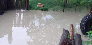 După meteorologi, ne avertizează și hidrologii: risc de inundații în bazinele hidrografice din întreaga țară