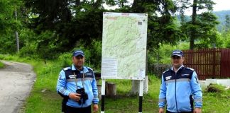 Jandarmii vrânceni, la datorie în minivacanța de Rusalii