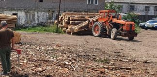 Amenzi și confiscări de material lemnos, în urma controalelor polițiștilor și silvicultorilor de săptămâna trecută