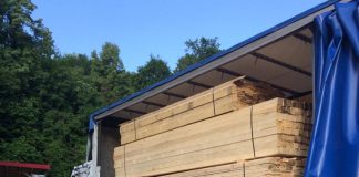 Amenzi, dosare penale și confiscări de lemne, în urma controalelor din sectorul silvic, din ultimele 3 zile