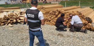 Depozitele și transporturile de lemne din 4 comune, verificate de polițiști