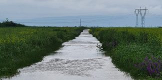 VIDEO DJ204 E, inundat de la Mircești spre Ciușlea. Culturile agricole sunt afectate