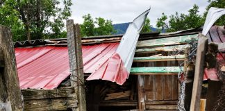 FOTO Un urs a dat iama într-o gospodărie din Soveja. Localnicii sunt îngrijorați de numărul mare de animale care se apropie de gospodăriile lor