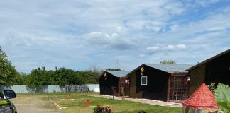 Polițiștii de la Protecția Animalelor au donat hrană pentru câinii de la padocul Primăriei Focșani