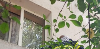 Pompierii focșăneni au salvat un copil de 2 ani, care risca să cadă de pe pervazul unui geam, situat la etajul 1