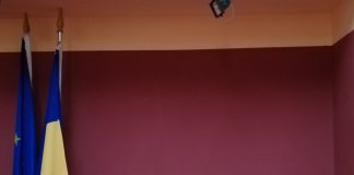 Prevenirea și combaterea bullying-ului, o prioritate pentru autorități, profesori, psihologi și specialiști în asistență socială