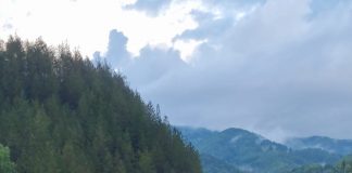 VIDEO Putna și Zăbala, învolburate și cu debit foarte mare