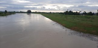 Trei copii și mama lor, evacuați în urma inundațiilor la Mircești