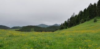 Colaborare Primăria Soveja – Salvamont Vrancea: trasee pentru bicicliști, intervenție în caz de calamități