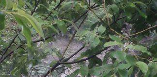 Nu s-a reușit, până acum, evacuarea persoanelor rămase blocate în mijlocul apei, la Nereju