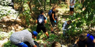 FOTO Proiect de tineret ”Voluntariatul văzut de aproape”