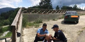 Doi jandarmi au intervenit în sprijinul unei bătrâne accidentată de mașină