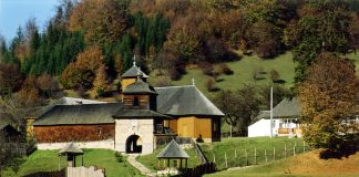 Biblioteca Județeană se alătură proiectului guvernamental „Generaţii reunite”