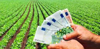 Avans în cuantum de 70% pentru plățile directe din sectorul vegetal, începând cu data de 16 octombrie