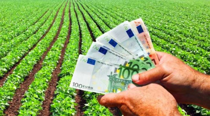 Se pregătește plata avansului din subvențiile acordate fermierilor, începând cu 16 octombrie 2026