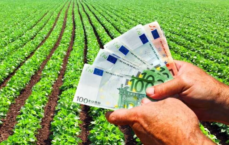 Se pregătește plata avansului din subvențiile acordate fermierilor, începând cu 16 octombrie 2026