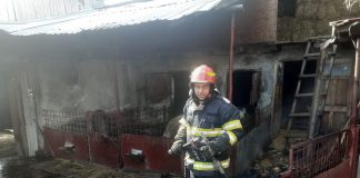 Incendiu la o gospodărie din Homocea. Pompierii au salvat 12 porci