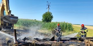 O remorcă plină cu baloți de lucernă a ars la Ruginești