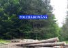 Bărbat rănit grav după ce a fost lovit în cap de un copac, într-o pădure din Nistorești