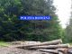 Bărbat rănit grav după ce a fost lovit în cap de un copac, într-o pădure din Nistorești