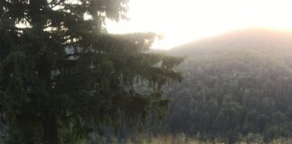 Un motociclist a intrat în coliziune cu o mașină la Mărășești