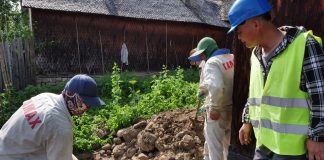 Campanie de control la firmele care angajează străini în România