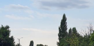 Au condus mașina deși nu aveau permis. Acum au dosar penal