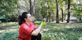 Puii au căpătat putere și și-au luat zborul