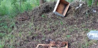 FOTO-VIDEO Urșii dau iama și la stupii din comuna Poiana Cristei