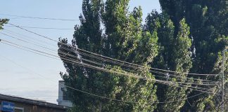 FOTO VIDEO Sute de autovehicule de transport marfă și călători oprite la control de polițiști în ultima săptămână