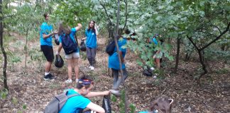 Proiect de promovare a voluntariatului și a conștiinței civice în rândul tinerilor