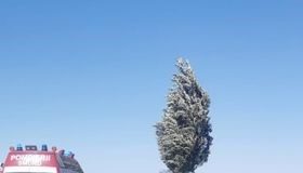 ULTIMA ORĂ S-a reluat traficul pe E85