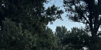 Tragedie la Boghești: 3 tineri au murit după ce au intrat cu mașina într-un copac