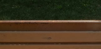 Îndemn la citit și nu numai: un focșănean a lăsat câte o carte pe fiecare bancă din parc