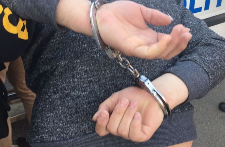 Bărbat reținut după ce a omorât un câine în bătaie