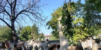 S-a reluat activitatea de curățare a mormintelor și monumentele din cimitirul german din Focșani