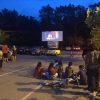 film cultura crang