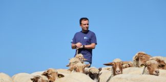 Proiectele APM Vrancea, date ca exemplu de conducerea națională a agenției