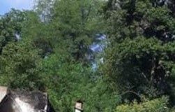 VIDEO O casă a ars azi noapte, în Spulber